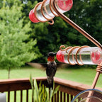 Hummingbird Feeder with Suction Cup — Easy Clean
