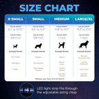 Light up Dog Collar - the Original LED Dog Collar - USB Rechargeable - Waterproof - 1,000 Feet of Visibility - Dog Collar Light for Small, Medium, Large Dogs - USA Brand