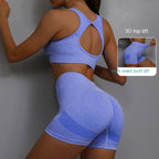 Women's Yoga Sports Bra & Shorts Set — 2 Piece