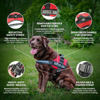 Service Dog in Training Vest with Hook and Loop Straps and Handle - Harnesses in Sizes from XXS to XXL - Service Dog Vest Harness Features Reflective Patch and Comfortable Mesh Design