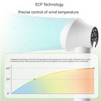 Smart Silent Pet Hair Dryer & Grooming Comb