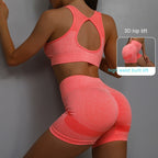 Women's Yoga Sports Bra & Shorts Set — 2 Piece
